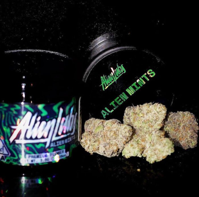 Alien Mints Strain By Alien Labs