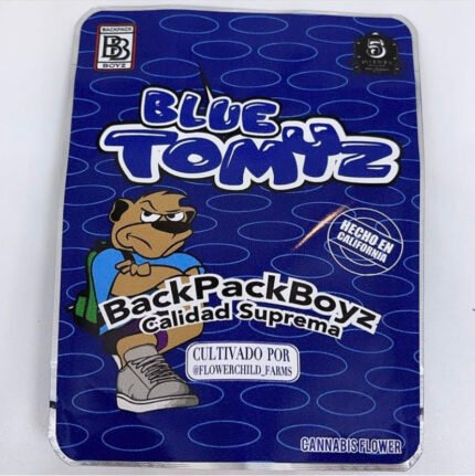 Blue Tomyz backpack boyz