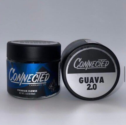 Guava 2.0 Connected