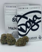 Mochi Doja